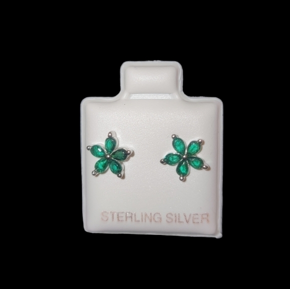 Sterling Silver Earrings - Picture 1 of 2
